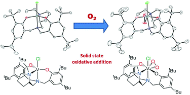 Graphical abstract: Radical reactions of diamine bis(phenolate) vanadium(iii) complexes. Solid state binding of O2 to form a vanadium(v) peroxo complex