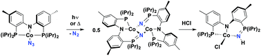 Graphical abstract: N-Atom transfer via thermal or photolytic activation of a Co-azido complex with a PNP pincer ligand