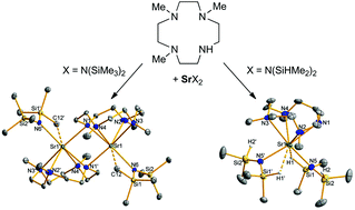 Graphical abstract: Group 2 metal (Mg, Ca, Sr) silylamides supported by a cyclen-derived macrocyclic polyamine