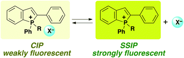Graphical abstract: Effects of counter anions, P-substituents, and solvents on optical and photophysical properties of 2-phenylbenzo[b]phospholium salts