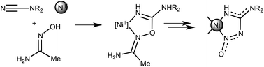 Graphical abstract: Metal-mediated reactions between dialkylcyanamides and acetamidoxime generate unusual (nitrosoguanidinate)nickel(ii) complexes