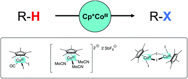 Graphical abstract: Recent advances using [Cp*Co(CO)I2] catalysts as a powerful tool for C–H functionalisation