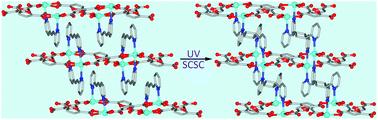 Graphical abstract: UV-induced single-crystal-to-single-crystal conversion from a coordination ladder to a two-dimensional network through an intermolecular carbon–carbon coupling reaction