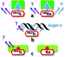 Graphical abstract: Structure and reactivities of rhenium and technetium bis-arene sandwich complexes [M(η6-arene)2]+