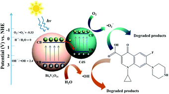 Graphical abstract: Facile synthesis of CdS/Bi4V2O11 photocatalysts with enhanced visible-light photocatalytic activity for degradation of organic pollutants in water