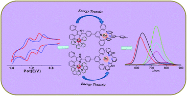 Graphical abstract: Ru–Os dyads based on a mixed bipyridine–terpyridine bridging ligand: modulation of the rate of energy transfer and pH-induced luminescence switching in the infrared domain