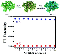 Graphical abstract: Synthesis of ultra – stable copper nanoclusters and their potential application as a reversible thermometer