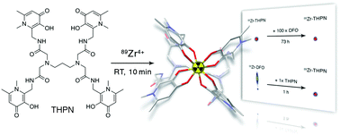 Graphical abstract: A new tetrapodal 3-hydroxy-4-pyridinone ligand for complexation of 89zirconium for positron emission tomography (PET) imaging