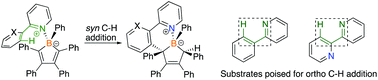 Graphical abstract: C–H addition reactivity of 2-phenylpyridine and 2,2′-bipyridine with pentaphenylborole