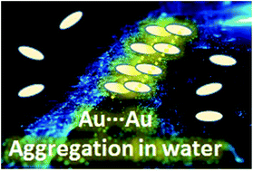 Graphical abstract: Aggregation induced emission of gold(i) complexes in water or water mixtures