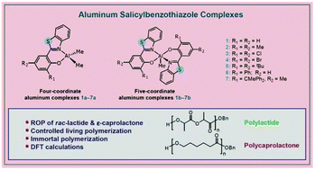 Graphical abstract: Aluminium complexes containing salicylbenzothiazole ligands and their application in the ring-opening polymerisation of rac-lactide and ε-caprolactone