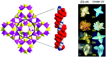 Graphical abstract: Achiral polyamine-induced chiral zinc gallophosphates with fused double helix-like strands exhibiting blue to green photoluminescence