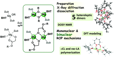 Graphical abstract: Mono-BHT heteroleptic magnesium complexes: synthesis, molecular structure and catalytic behavior in the ring-opening polymerization of cyclic esters