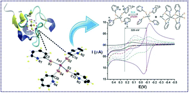 Graphical abstract: Iron(ii) complexes of 2-mercaptopyridine as rubredoxin site analogues