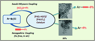 Graphical abstract: Sonogashira (Cu and amine free) and Suzuki coupling in air catalyzed via nanoparticles formed in situ from Pd(ii) complexes of chalcogenated Schiff bases of 1-naphthaldehyde and their reduced forms
