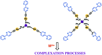 Graphical abstract: Polypyridyl-functionalizated alkynyl gold(i) metallaligands supported by tri- and tetradentate phosphanes