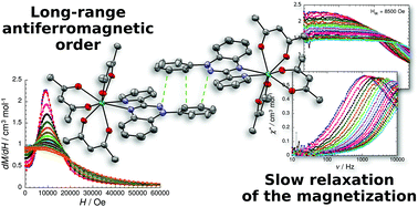 Graphical abstract: Coexistence of long-range antiferromagnetic order and slow relaxation of the magnetization in the first lanthanide complex of a 1,2,4-benzotriazinyl radical