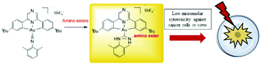 Graphical abstract: (C^Npz^C)AuIII complexes of acyclic carbene ligands: synthesis and anticancer properties