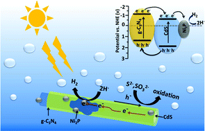 Graphical abstract: Noble-metal-free nickel phosphide modified CdS/C3N4 nanorods for dramatically enhanced photocatalytic hydrogen evolution under visible light irradiation