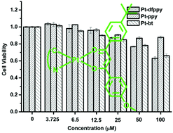 Graphical abstract: Protein staining agents from low toxic platinum(ii) complexes with bidentate ligands