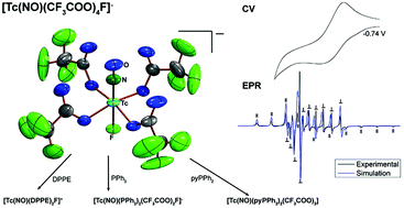 Graphical abstract: [TcII(NO)(trifluoroacetate)4F]2− – synthesis and reactions