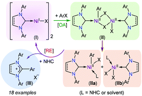Graphical abstract: Nickel-catalysed direct C2-arylation of N-heterocyclic carbenes