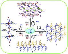 Graphical abstract: Ligand directed structural diversity and magnetism in copper(ii)–azido assemblies with isomeric aminopyridines: synthesis, structure, magnetism and theoretical studies