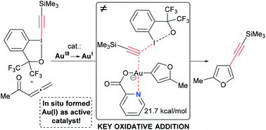 Graphical abstract: Gold-catalyzed domino cyclization–alkynylation reactions with EBX reagents: new insights into the reaction mechanism