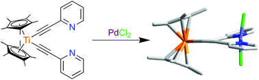 Graphical abstract: A trans-bidentate bis-pyridinyl ligand with a transition metal hinge