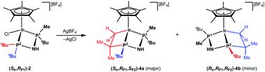 Graphical abstract: Half-sandwich complexes of Ir(iii), Rh(iii) and Ru(ii) with the MaxPhos ligand: metal centred chirality and cyclometallation