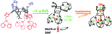 Graphical abstract: Chemoselective guest-triggered shaping of a polynuclear CuII calix[6]complex into a molecular host