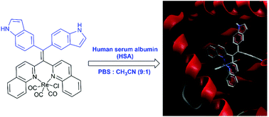 Graphical abstract: Rhenium tricarbonyl complexes of AIE active tetraarylethylene ligands: tuning luminescence properties and HSA-specific binding