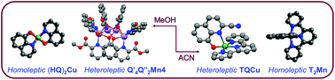 Graphical abstract: Heteroleptic complexes via solubility control: examples of Cu(ii), Co(ii), Ni(ii) and Mn(ii) complexes based on the derivatives of terpyridine and hydroxyquinoline