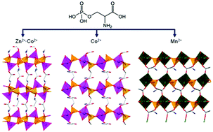 Graphical abstract: Zinc(ii), cobalt(ii) and manganese(ii) networks with phosphoserine ligand: synthesis, crystal structures and magnetic and proton conductivity properties