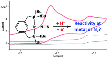 Graphical abstract: Protonation and electrochemical reduction of rhodium– and iridium–dinitrogen complexes in organic solution