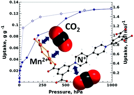 Graphical abstract: A robust viologen and Mn-based porous coordination polymer with two types of Lewis acid sites providing high affinity for H2O, CO2 and NH3