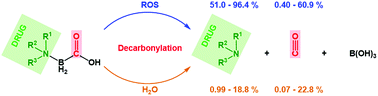 Graphical abstract: ROS-mediated carbon monoxide and drug release from drug-conjugated carboxyboranes