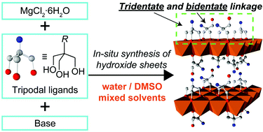 Graphical abstract: In situ synthesis of magnesium hydroxides modified with tripodal ligands in an organic medium