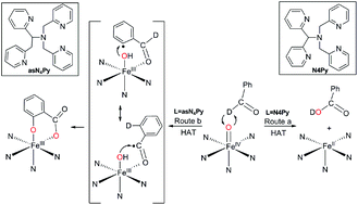 Graphical abstract: Steric control and the mechanism of benzaldehyde oxidation by polypyridyl oxoiron(iv) complexes: aromatic versus benzylic hydroxylation of aromatic aldehydes