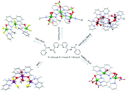Graphical abstract: A new nitrogen rich open chain diazine ligand system: synthesis coordination chemistry and magneto-structural studies