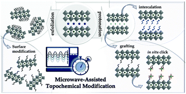 Graphical abstract: Microwave-assisted routes for rapid and efficient modification of layered perovskites