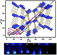 Graphical abstract: Multifunctional luminescent Zn(ii)-based metal–organic framework for high proton-conductivity and detection of Cr3+ ions in the presence of mixed metal ions