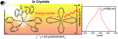 Graphical abstract: Sensitized near infrared emission through supramolecular d → f energy transfer within an ionic Ru(ii)–Er(iii) pair
