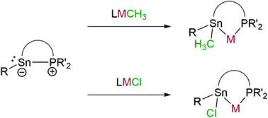 Graphical abstract: Coordination chemistry of stannylene-based Lewis pairs – insertion into M–Cl and M–C bonds. From base stabilized stannylenes to bidentate ligands