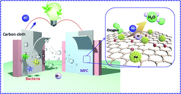 Graphical abstract: Gallic acid-assisted synthesis of Pd uniformly anchored on porous N-rGO as efficient electrocatalyst for microbial fuel cells