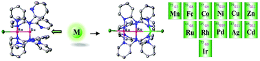 Graphical abstract: Stepwise synthesis of the heterotrimetallic chains [MRu2(dpa)4X2]0/1+ using group 7 to group 12 transition metal ions and [Ru2(dpa)4Cl]