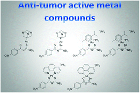 Graphical abstract: Anti-tumour active gold(i), palladium(ii) and ruthenium(ii) complexes with thio- and selenoureato ligands: a comparative study