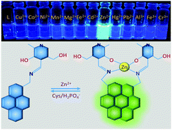 Graphical abstract: Three-in-one type fluorescent sensor based on a pyrene pyridoxal cascade for the selective detection of Zn(ii), hydrogen phosphate and cysteine