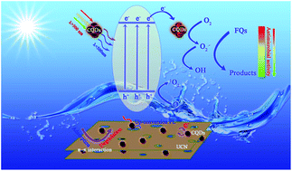 Graphical abstract: Facile synthesis of carbon quantum dots loaded with mesoporous g-C3N4 for synergistic absorption and visible light photodegradation of fluoroquinolone antibiotics
