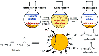 Graphical abstract: Novel tetra-propyl/butylammonium encapsulated Keggin-type polyoxotungstates: synthesis, structural characterization, and catalytic capability in oxidative cleavage of unsaturated fatty acids